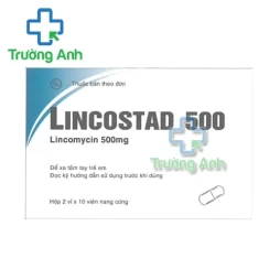 Lincostad 500 Pymepharco - Thuốc điều trị nhiễm khuẩn